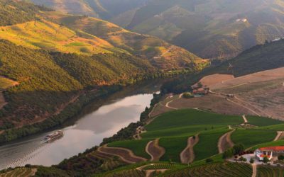 #TravelTuesday 68: Mood Boards for a New Year