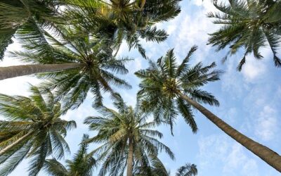 #TravelTuesday 116: The Sky’s Gentle Brightness
