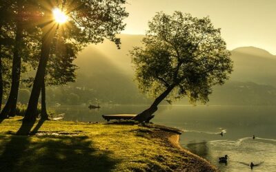 #TravelTuesday 77: To Make a Morning Beautiful